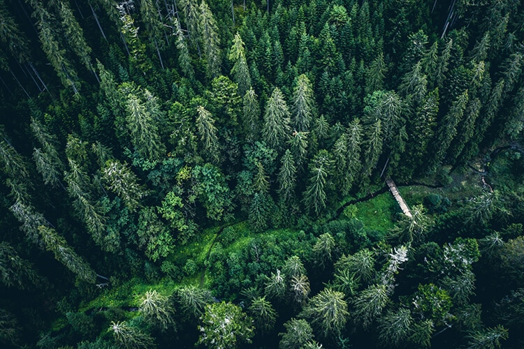 Національний парк Синевир
